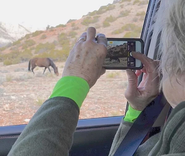 Linda takes a picture of Halo in the Dryhead