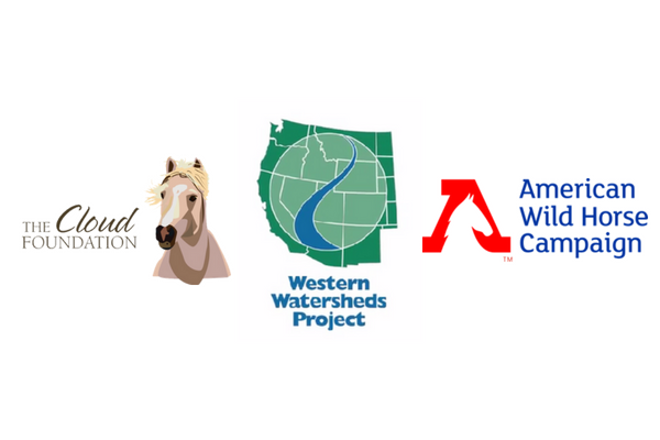 Wild Horse Advocates Join Forces with Conservationists in Lawsuit Challenging BLM Wild Horse Roundup in Nevada