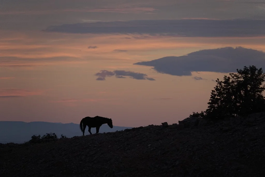 A Jersey Girl's Maiden Voyage