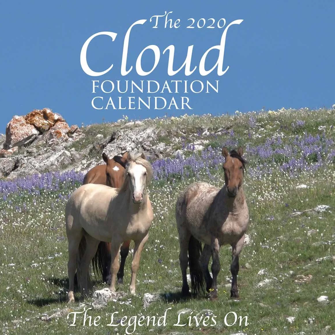 CalendarCover+2020_Page_01.jpg