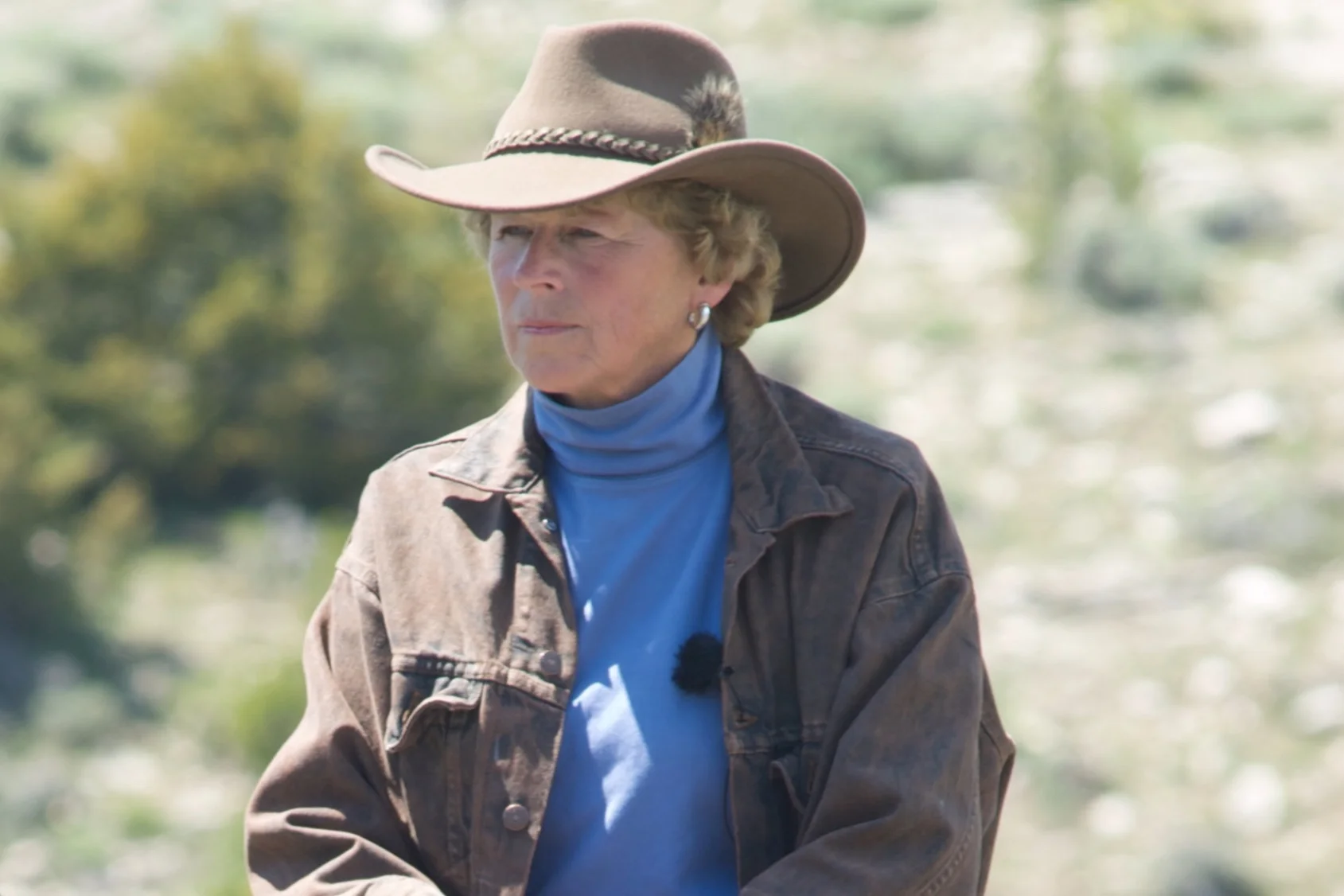 Ginger's Declaration on the 2018 Pryor Roundup Case