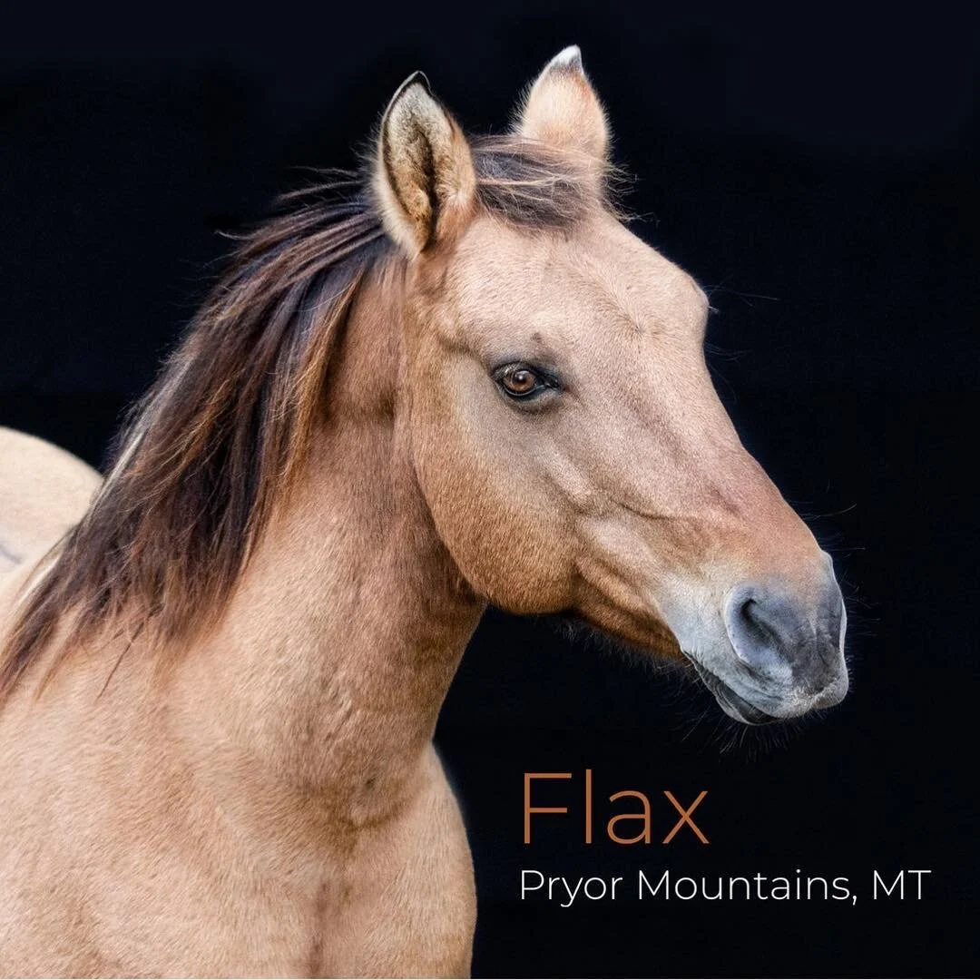 Her sister, Flax