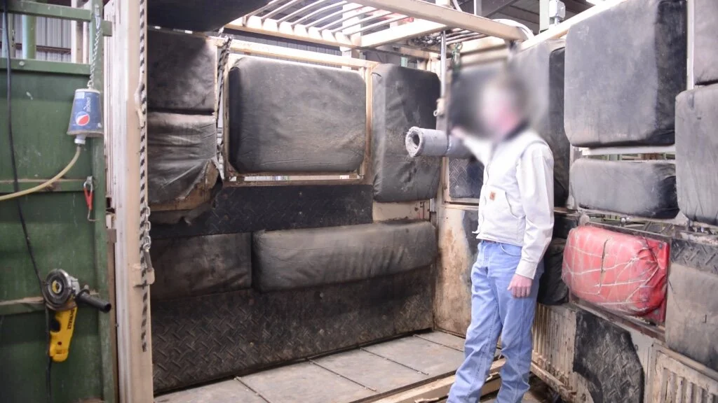 Lawsuit Filed to Stop “Barbaric” BLM Wild Horse Sterilization Experiments