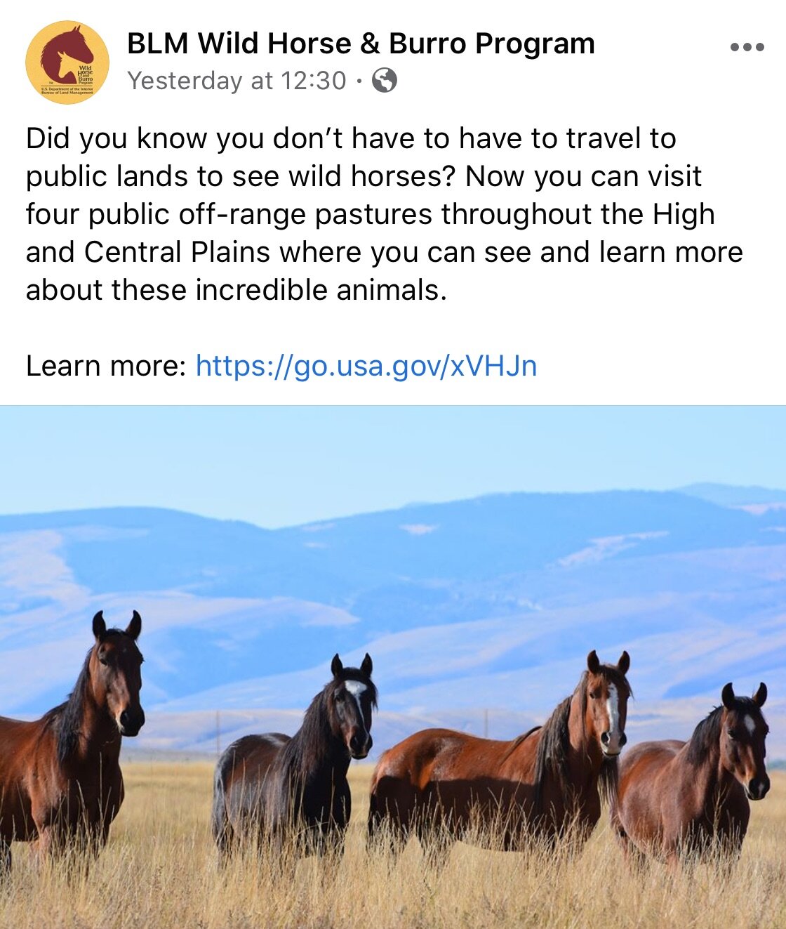 What Makes Wild Horses Wild?