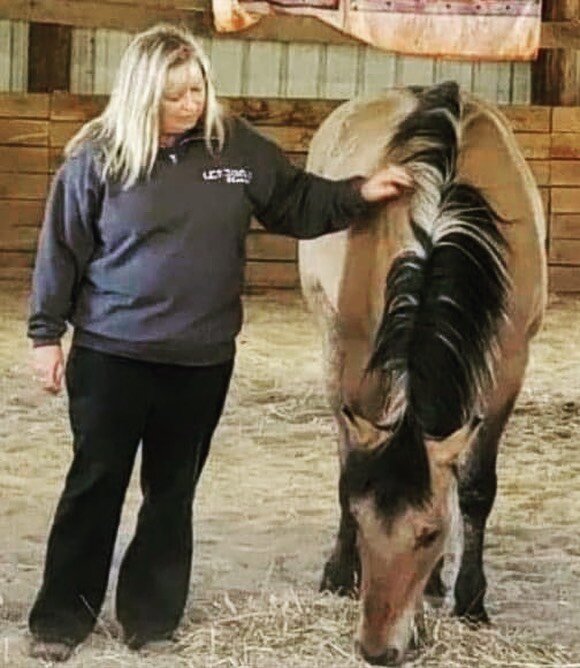 Biloxi (a once-wild Pryor Mustang) arrived at his forever home at the end of May! If he can&rsquo;t be wild and free, this is pretty much the next best thing. He has other mustang pals to run with and he will be loved and safe for the rest of his lif