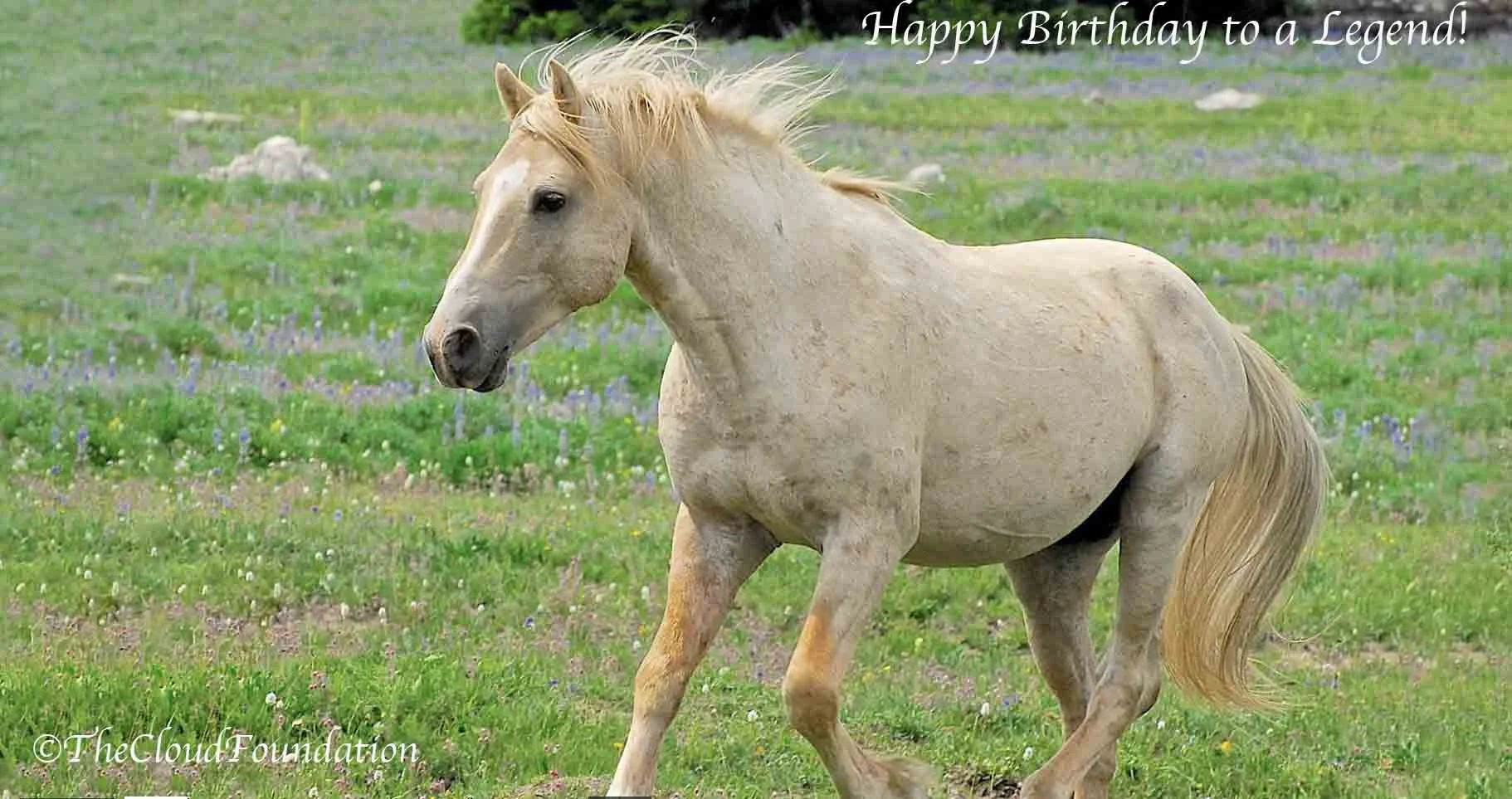 [Video] Happy Birthday Cloud!