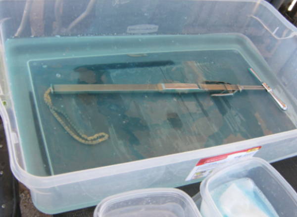 BLM to Implement Barbaric Plan to Rip Out Ovaries of Wild Mares With Chain