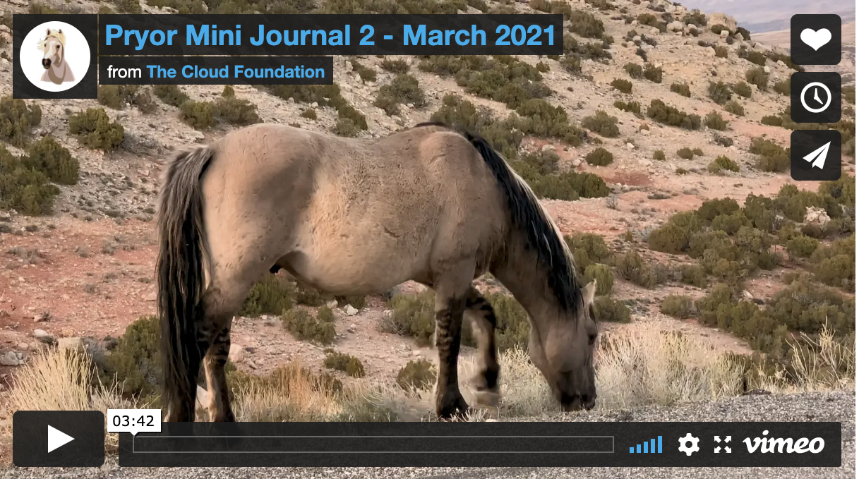 [Video] Views from the Range, March 2021