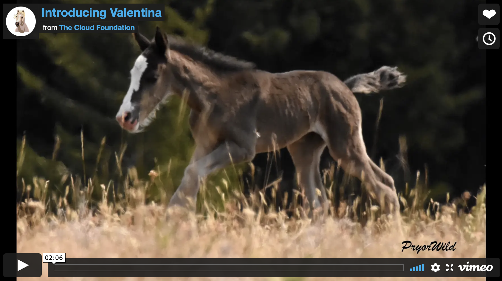 [Video] Introducing Valentina!