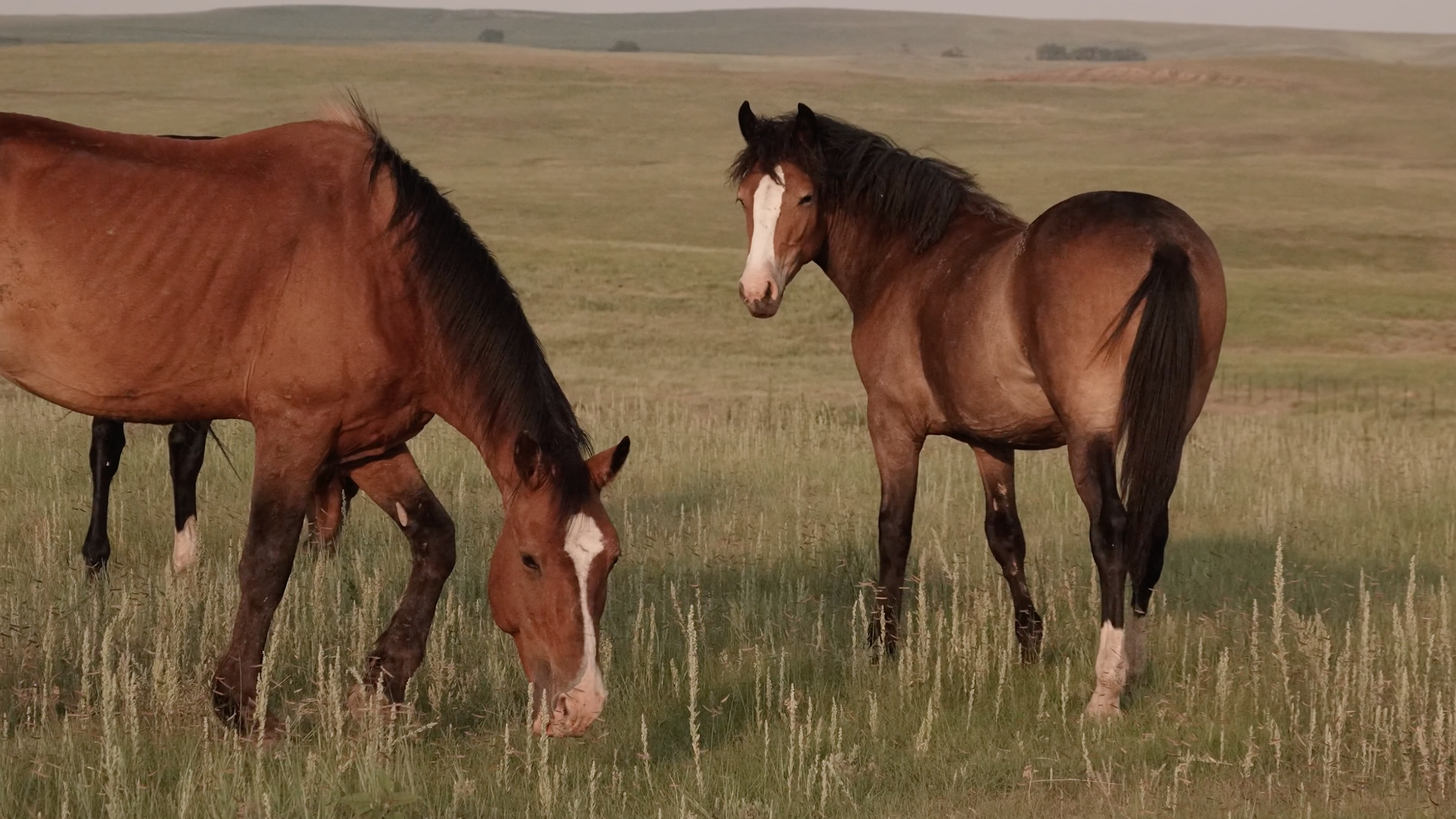 A Tribute to Trigger