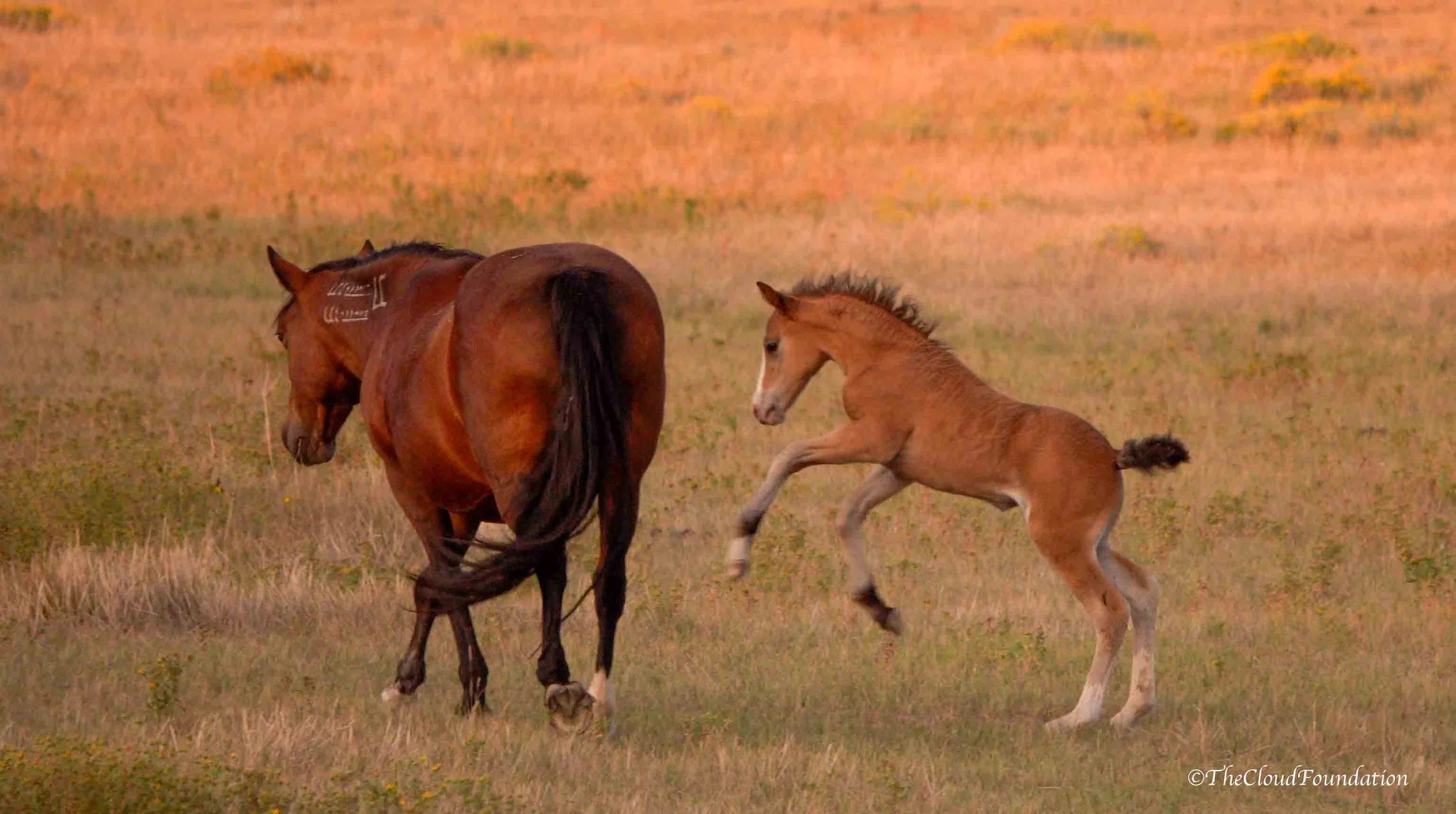 A Special Message of Thanks...