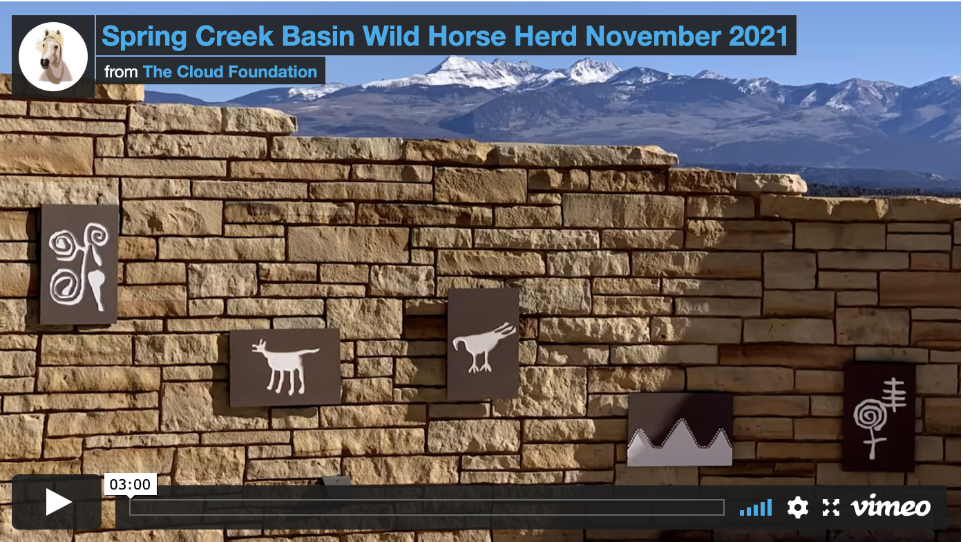 [Video] A Visit to Spring Creek Basin, Colorado