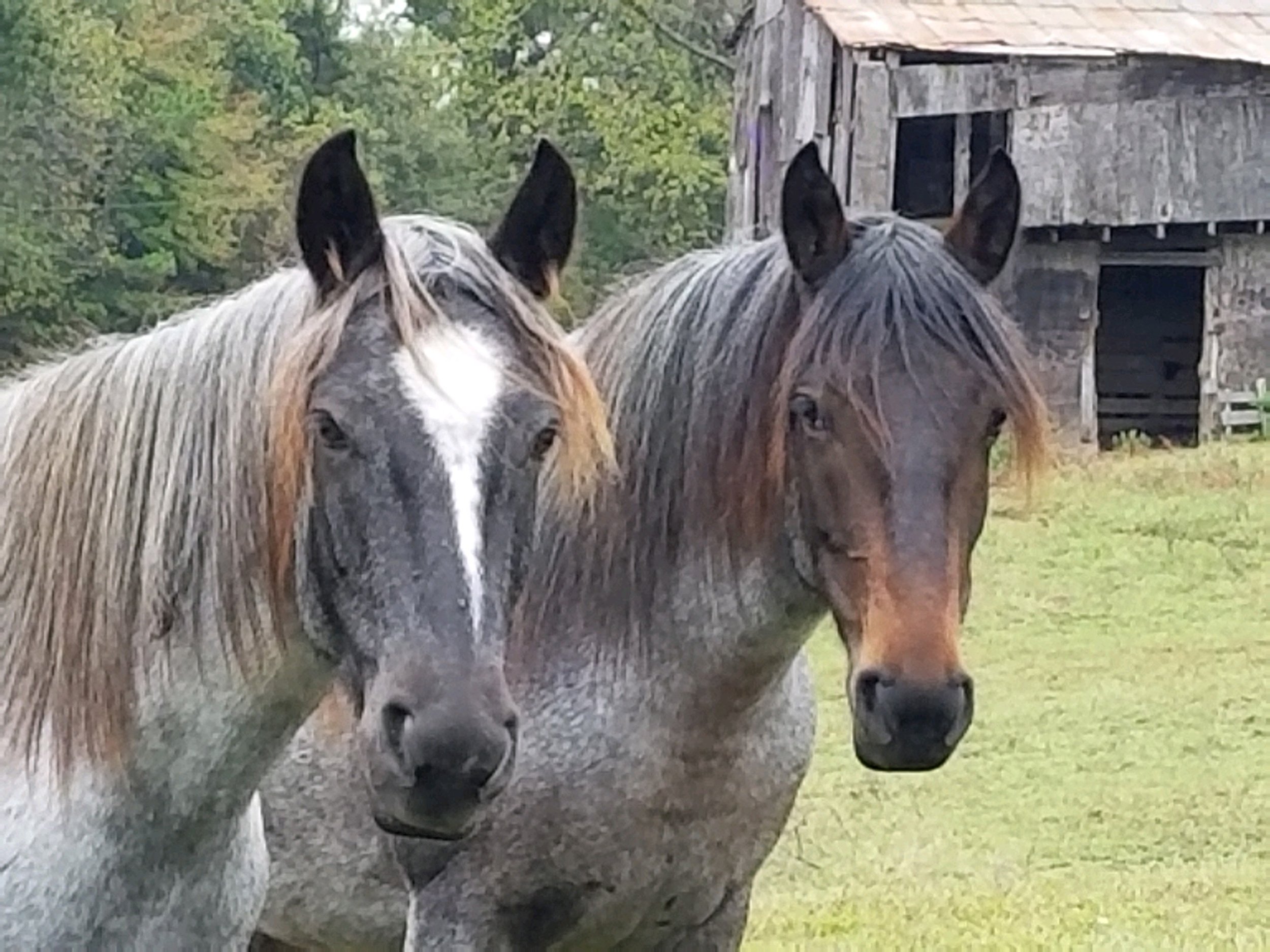 River (left) with her friend Lady Jane