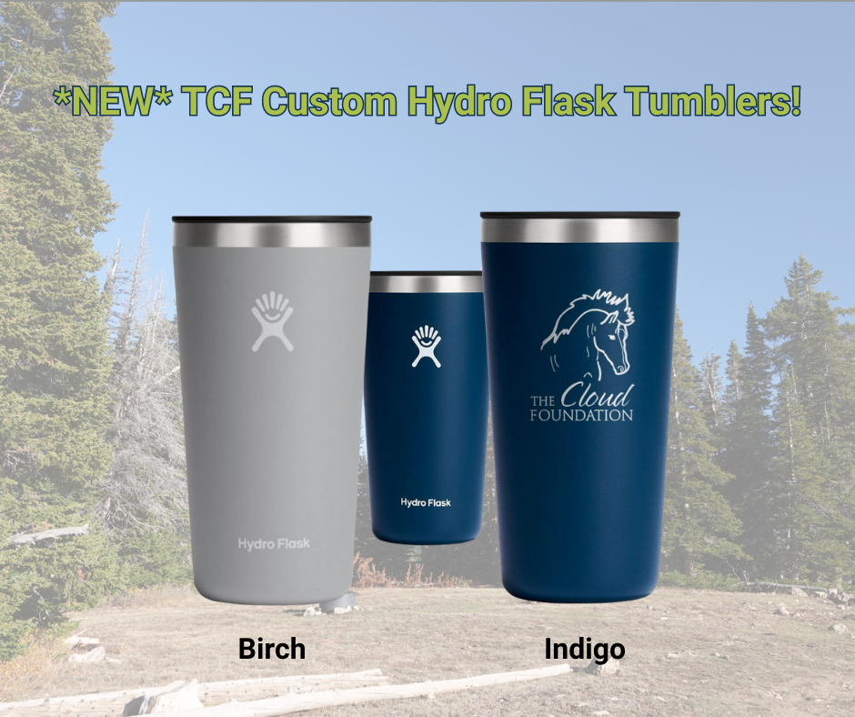 24ct. Custom Hydro Flask Indigo All Around Tumbler 20oz. by Corporate Gear