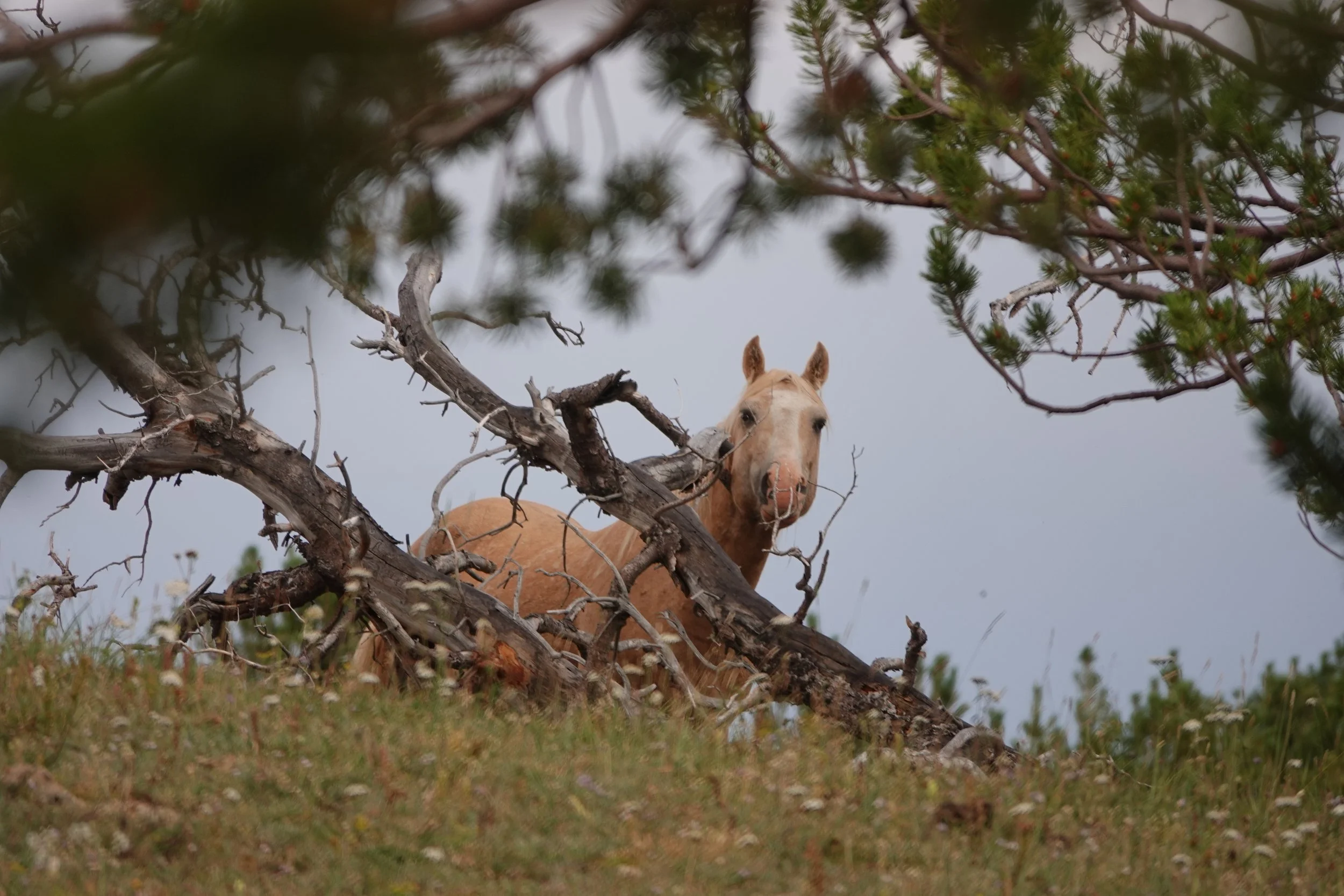 BTBW '23 Tickets are ON SALE NOW!