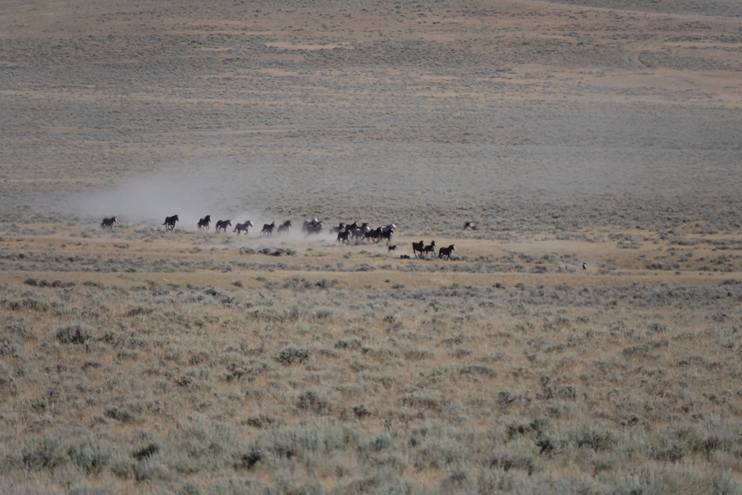 TCF Files Summary Judgement 