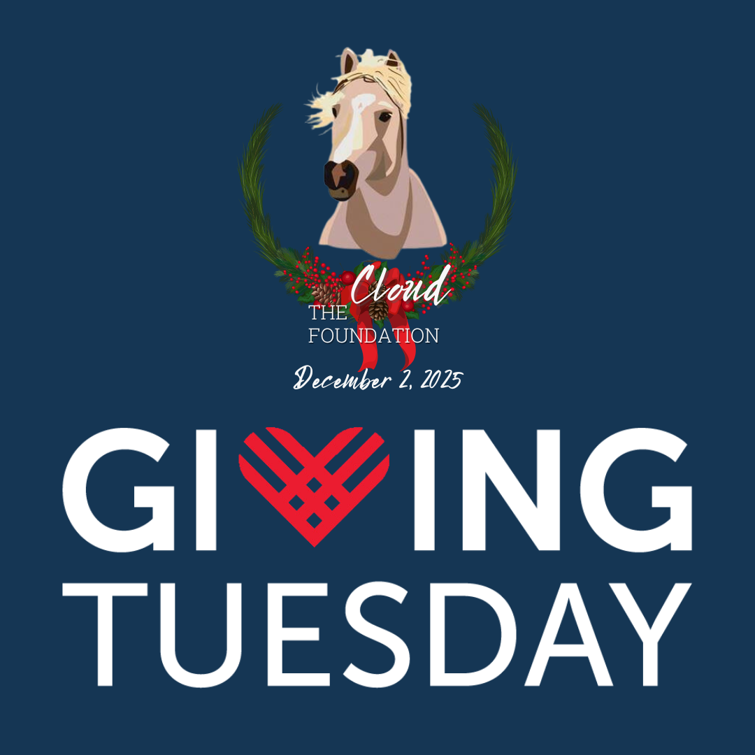 Giving Tuesday