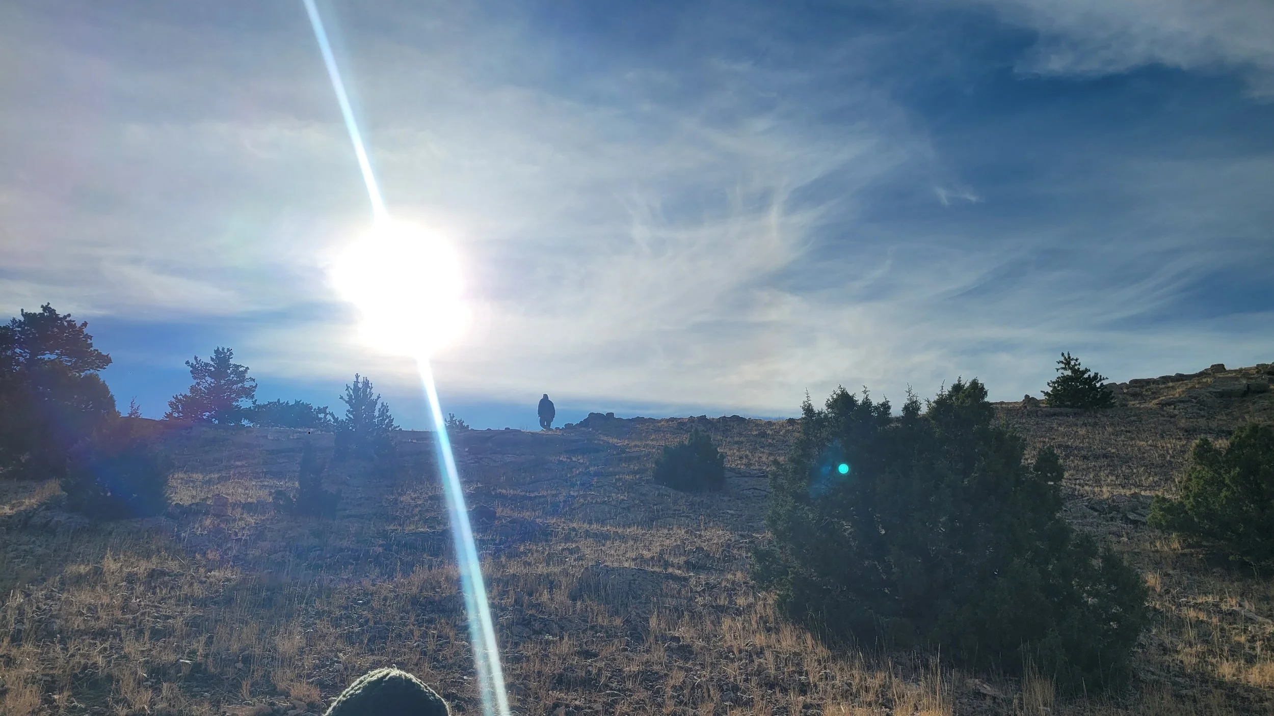 20251119_103750.jpg