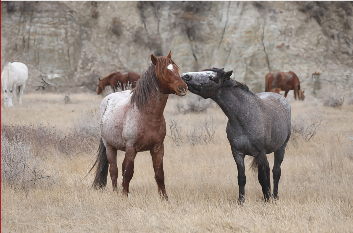 URGENT ACTION NEEDED: S1377 Federal Legislation