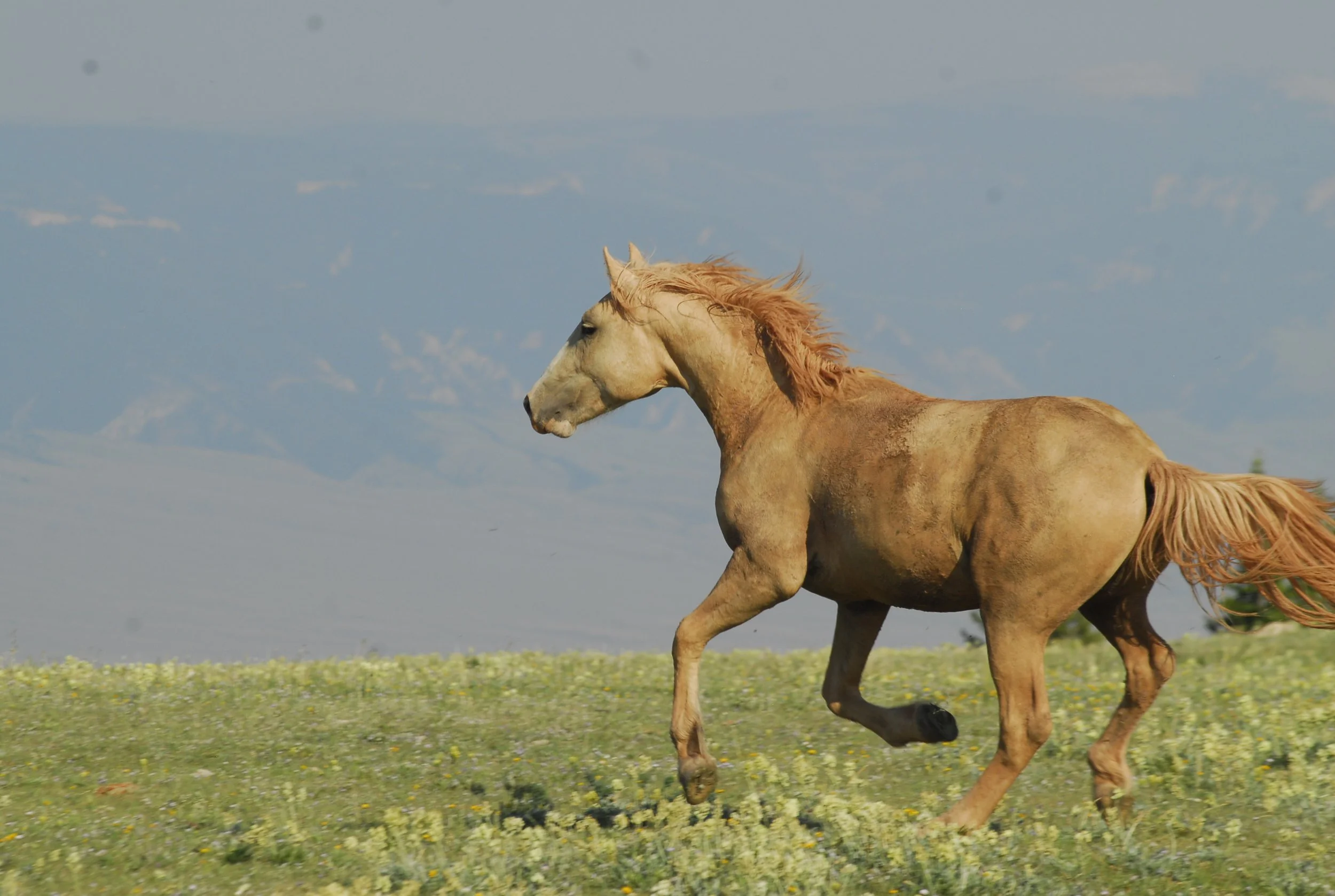 Echo 2012.6_DSC0765.JPG