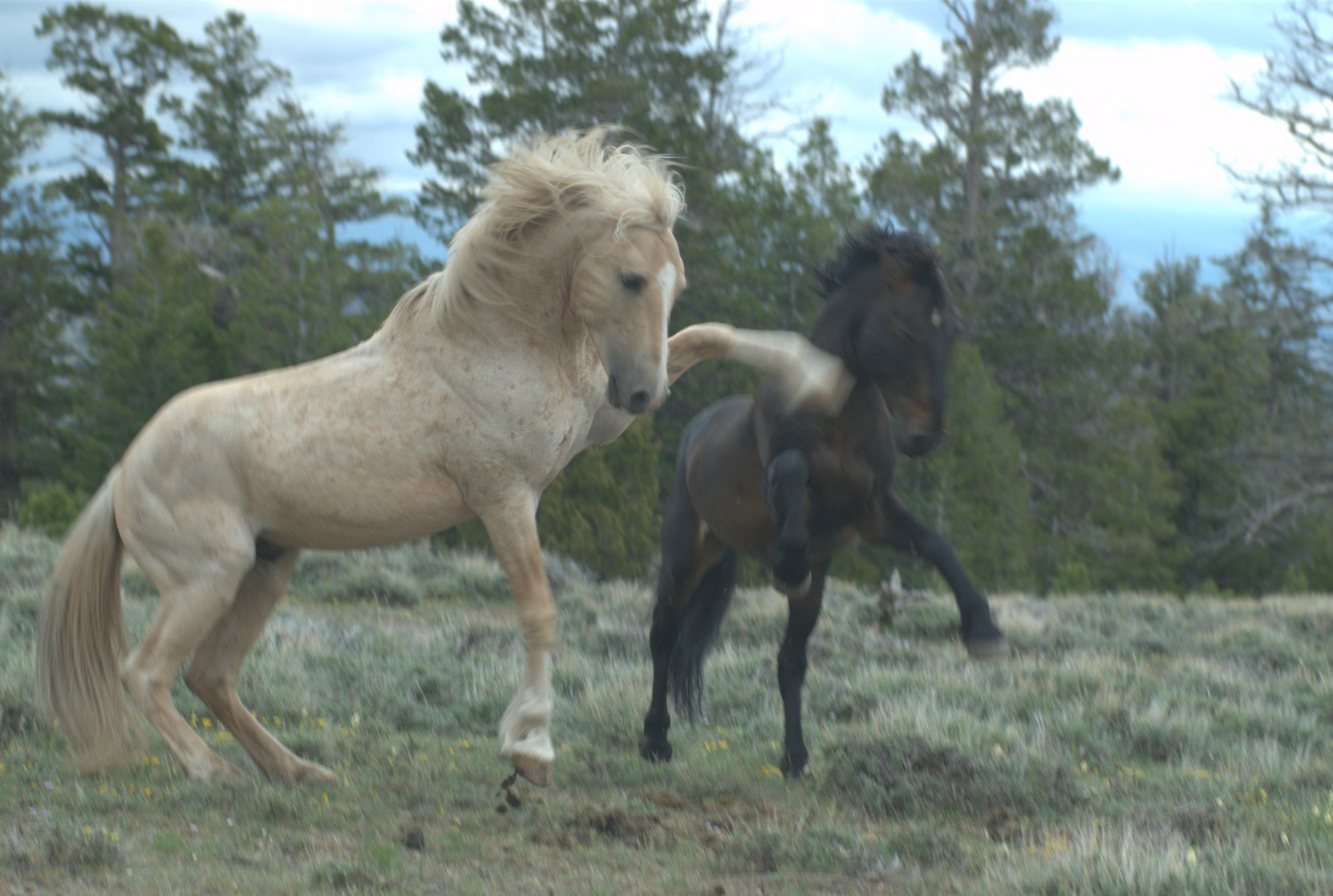 Cloud Challenged.jpg