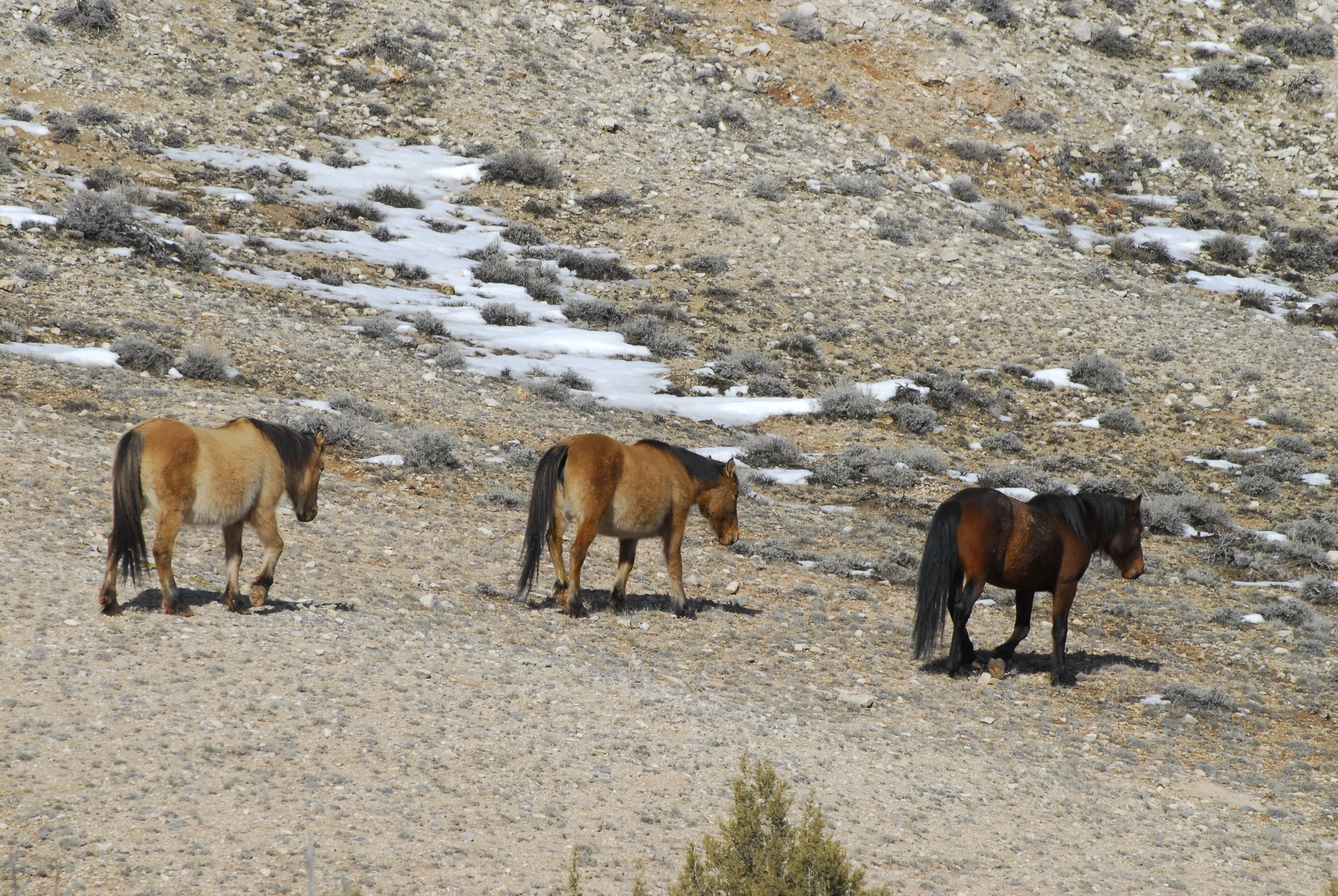 Mar 2014 _DSC0232.JPG