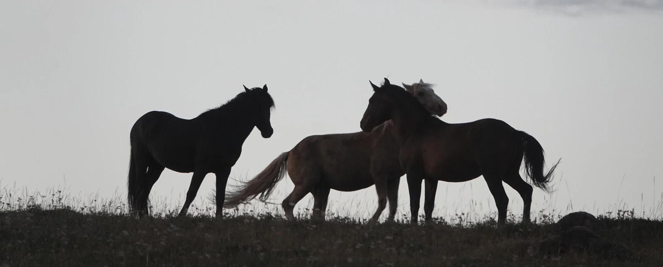 Echo Spars at Sunset_1.jpg