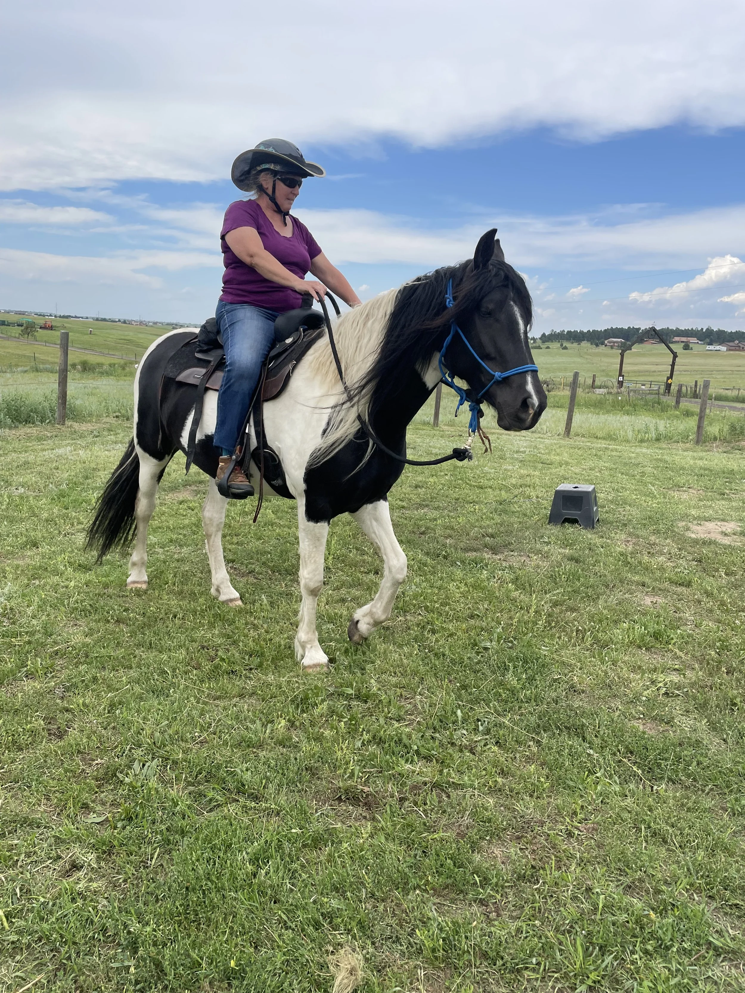 IMG-5845 - Lisa Boland.jpg