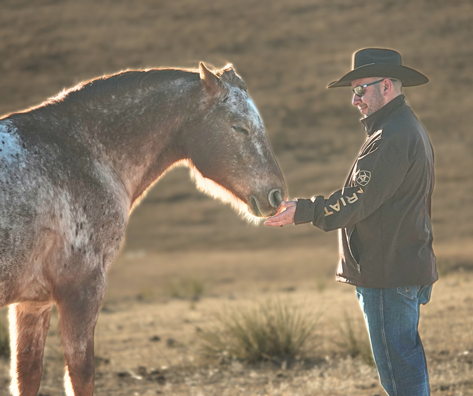 Salty and Stewart.png