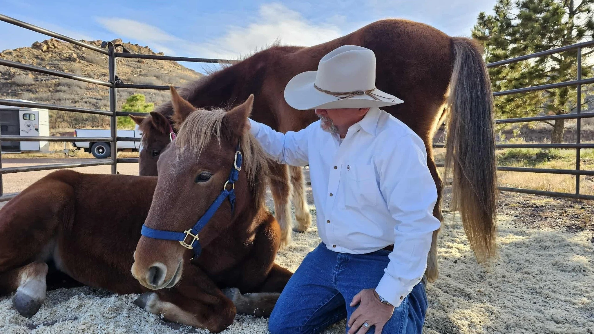 Kizis w Dana and Shone_2.jpg