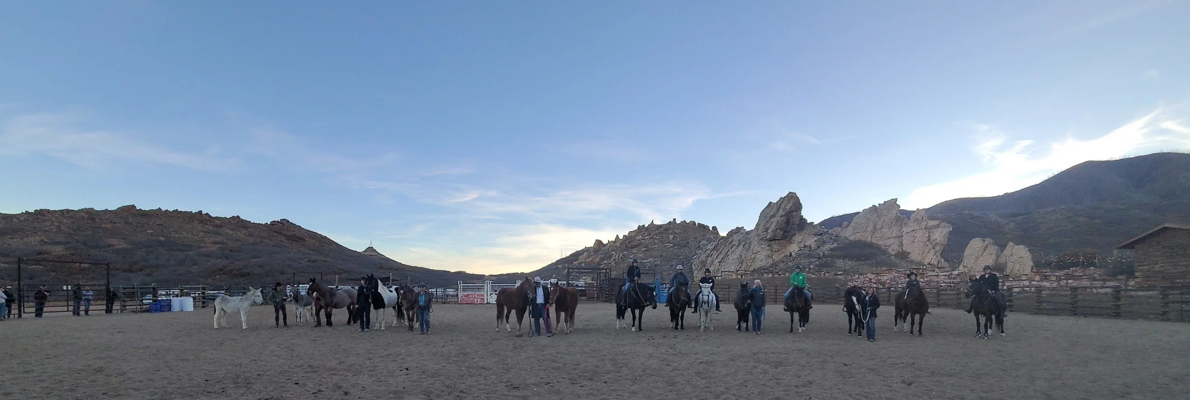 Parade of Mustangs_1.jpg