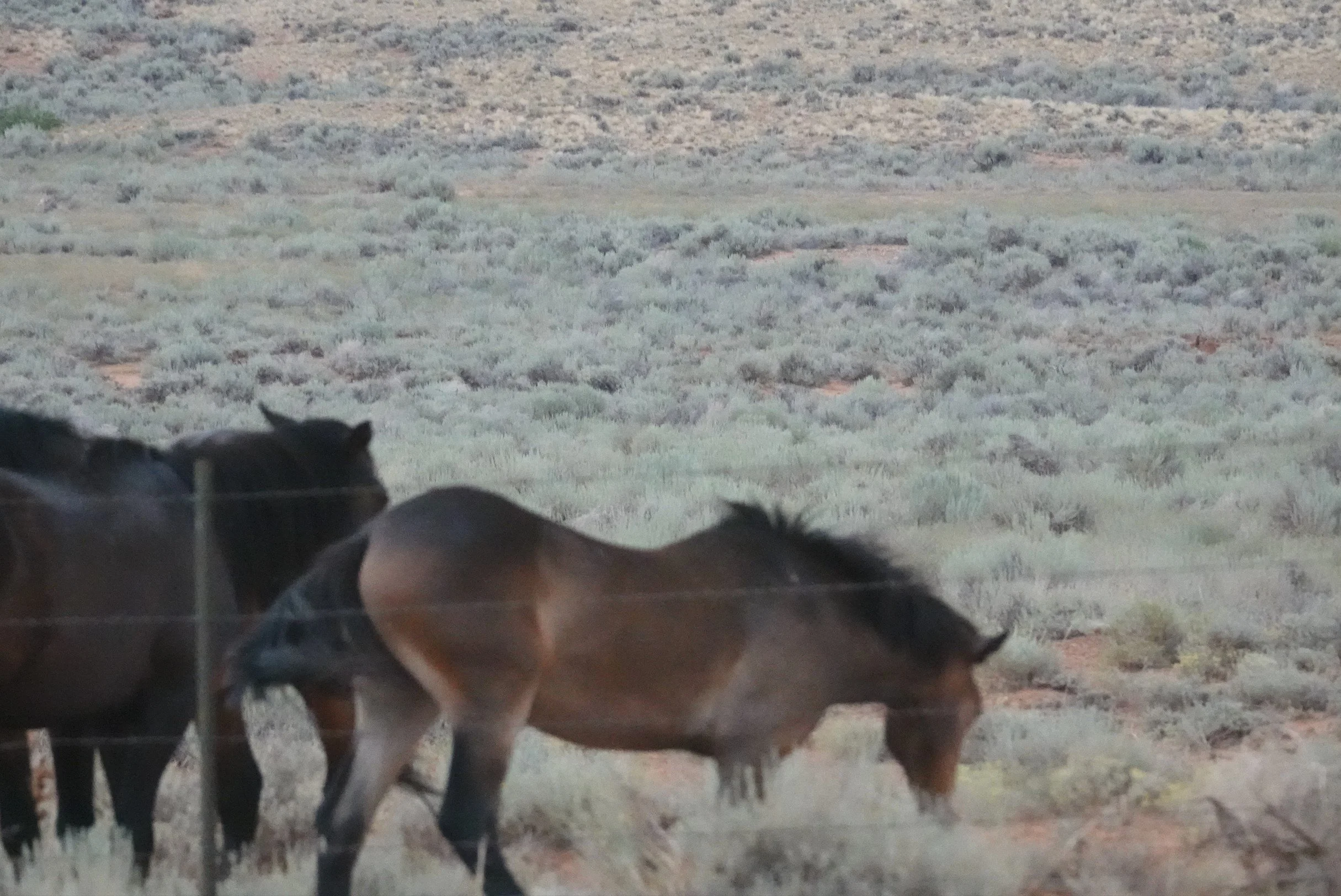 Jesse James Band_2.jpg