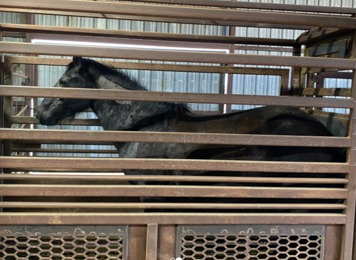 Penn_BLM Facility_2.png