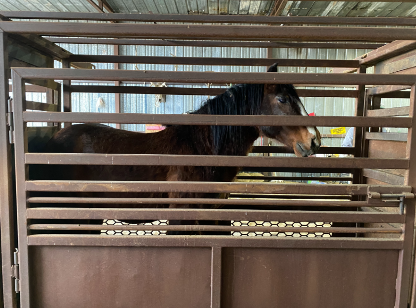 Jesse James_BLM Facility.png