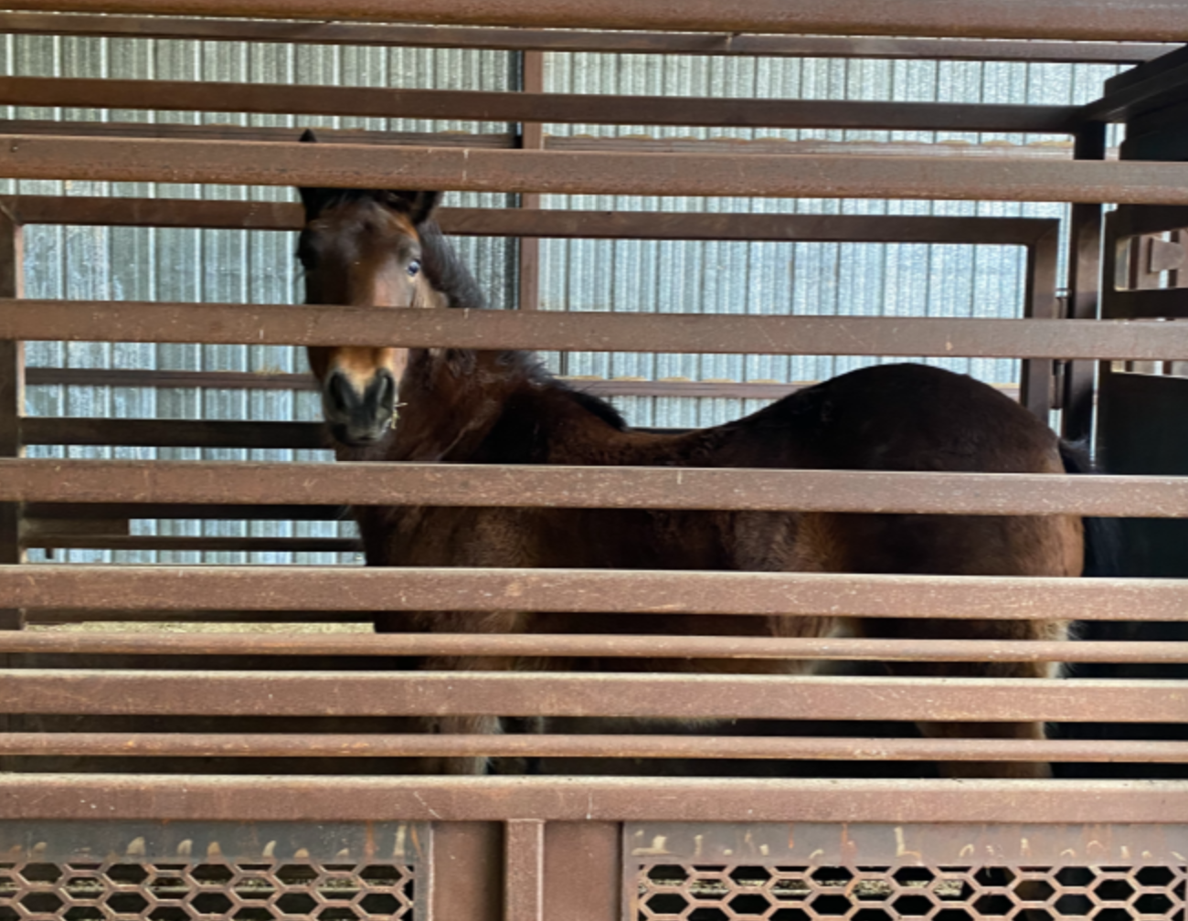 Yule_BLM Facility_2.png