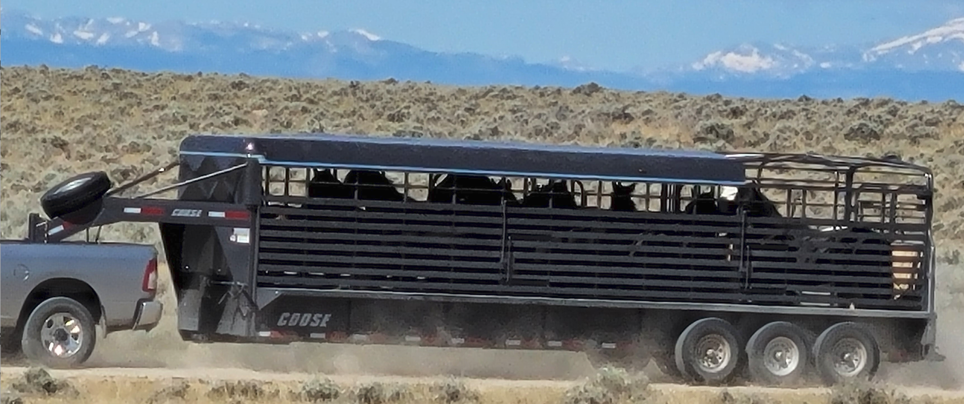 This Week in WHB News: Roundup Schedule and NV Roundups