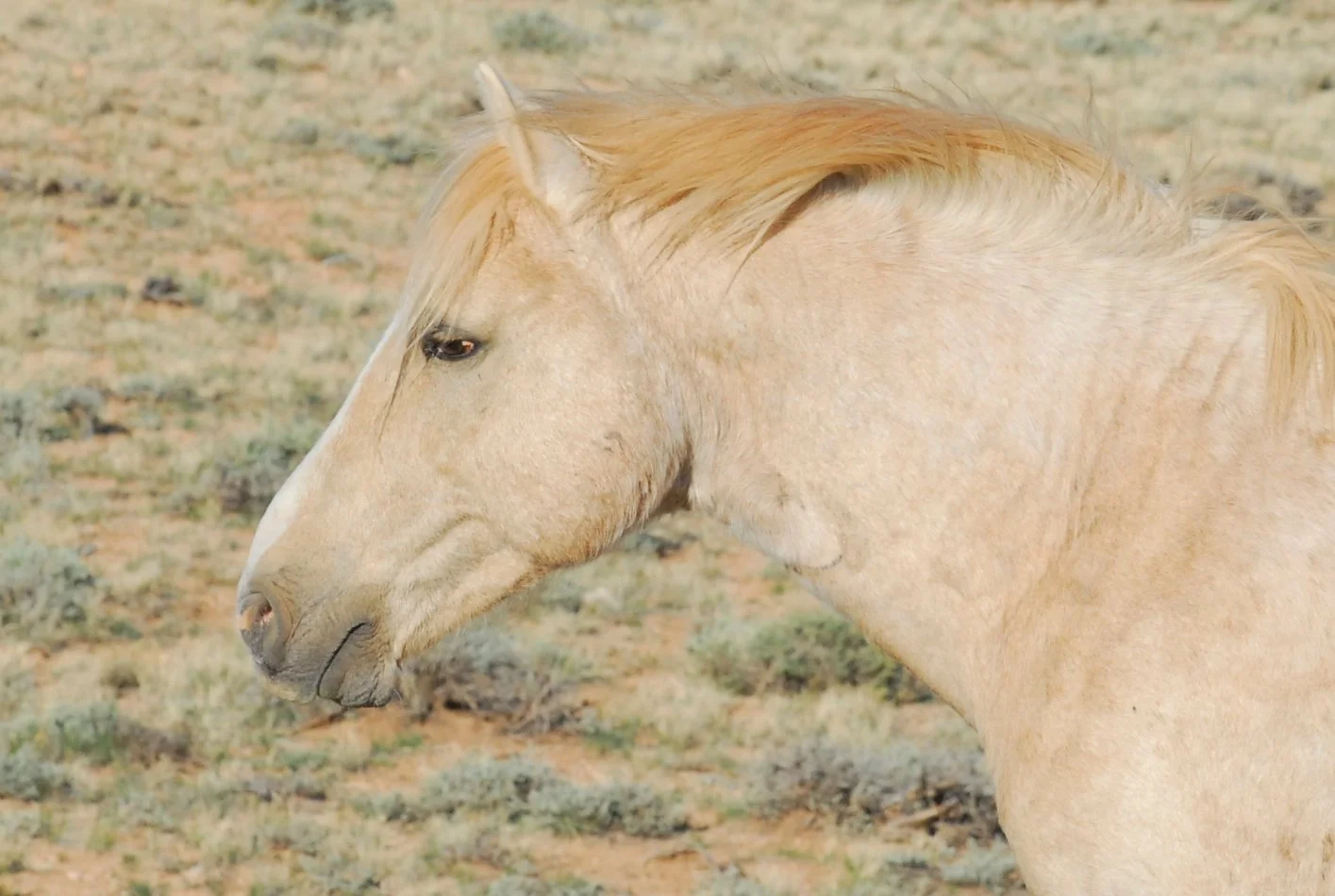 HAPPY 31st BIRTHDAY, CLOUD!
