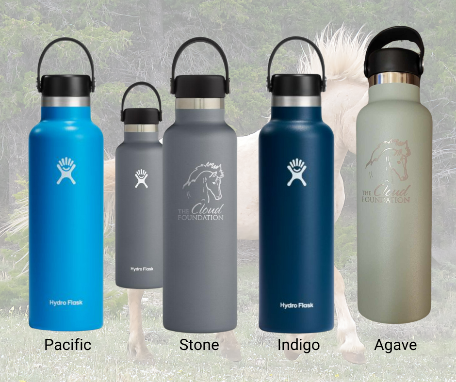 Hydro Flask Bottles 4 colors.png