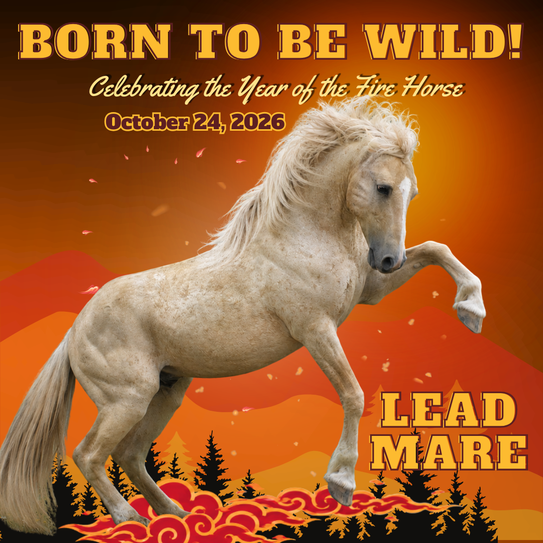 LEAD MARE SPONSORSHIP: BTBW Celebration & Fundraising Gala 2025