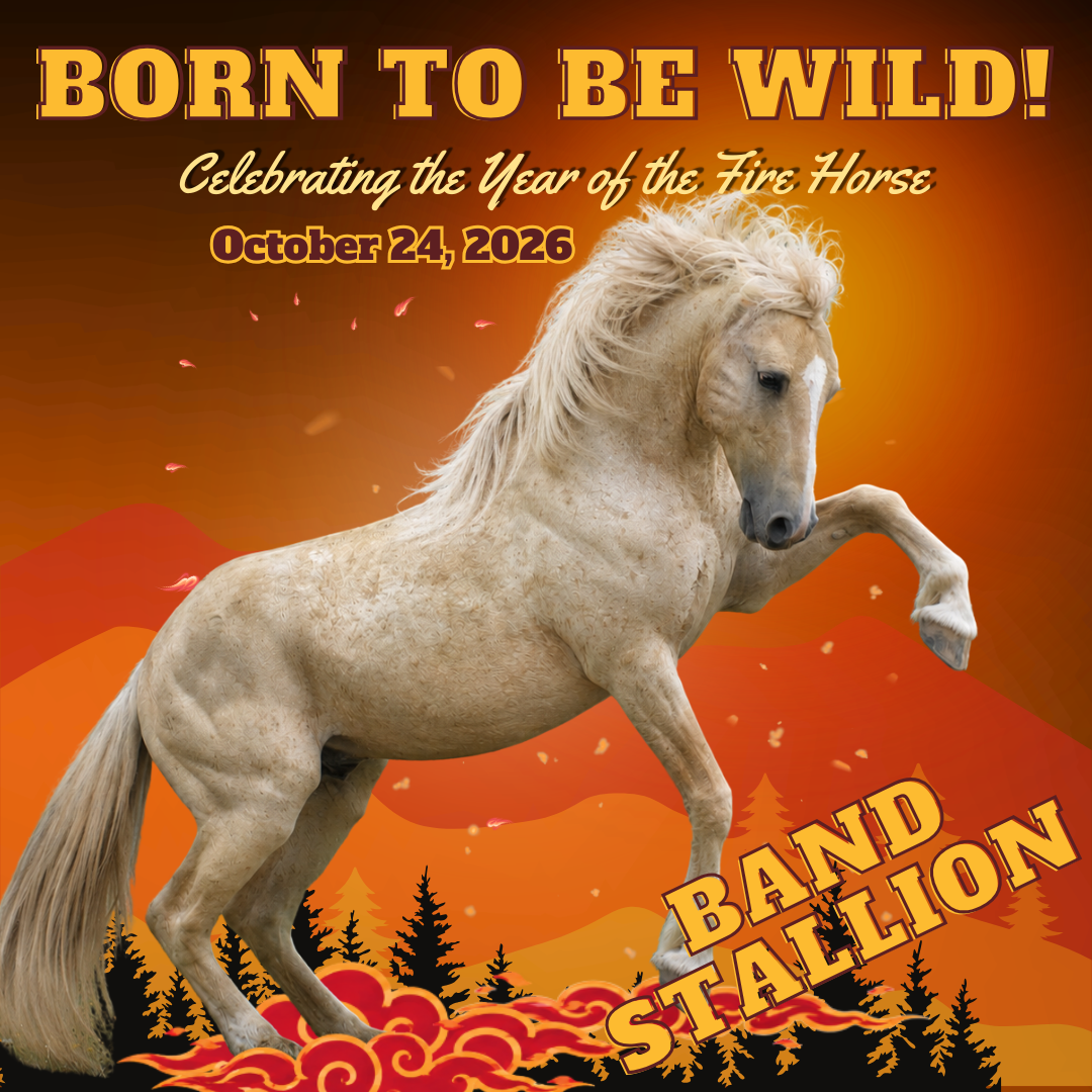 BAND STALLION SPONSORSHIP: Born to Be Wild Celebration & Fundraising Gala 2025
