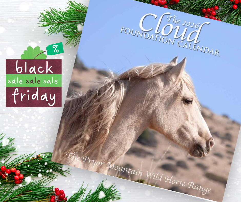 SPECIAL! Buy-3-Get-1 FREE -- 2026 TCF Calendar