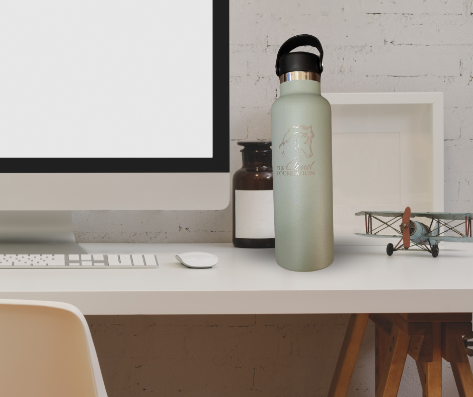 Hydroflask Agave.png