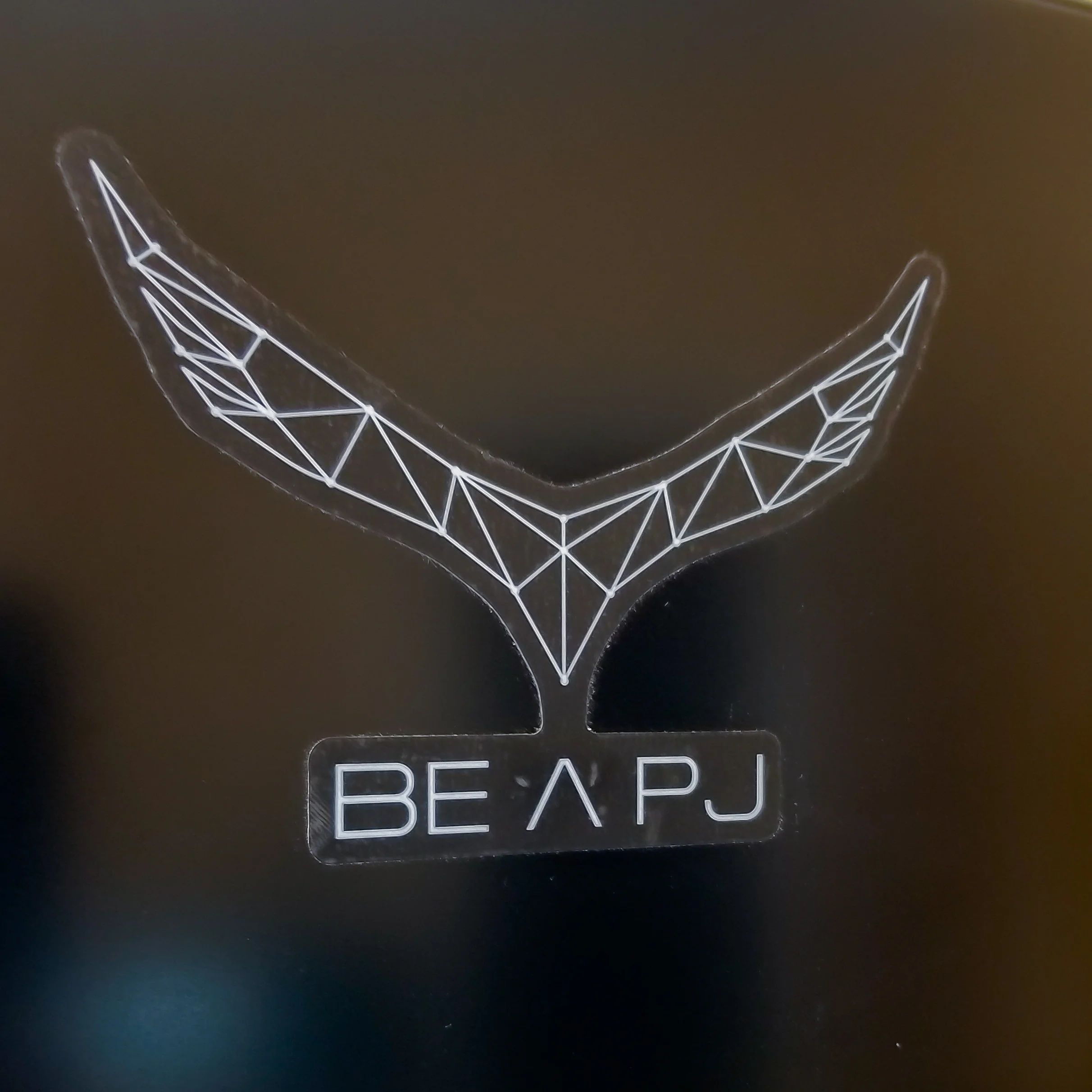Clear sticker (1 of 1).jpg