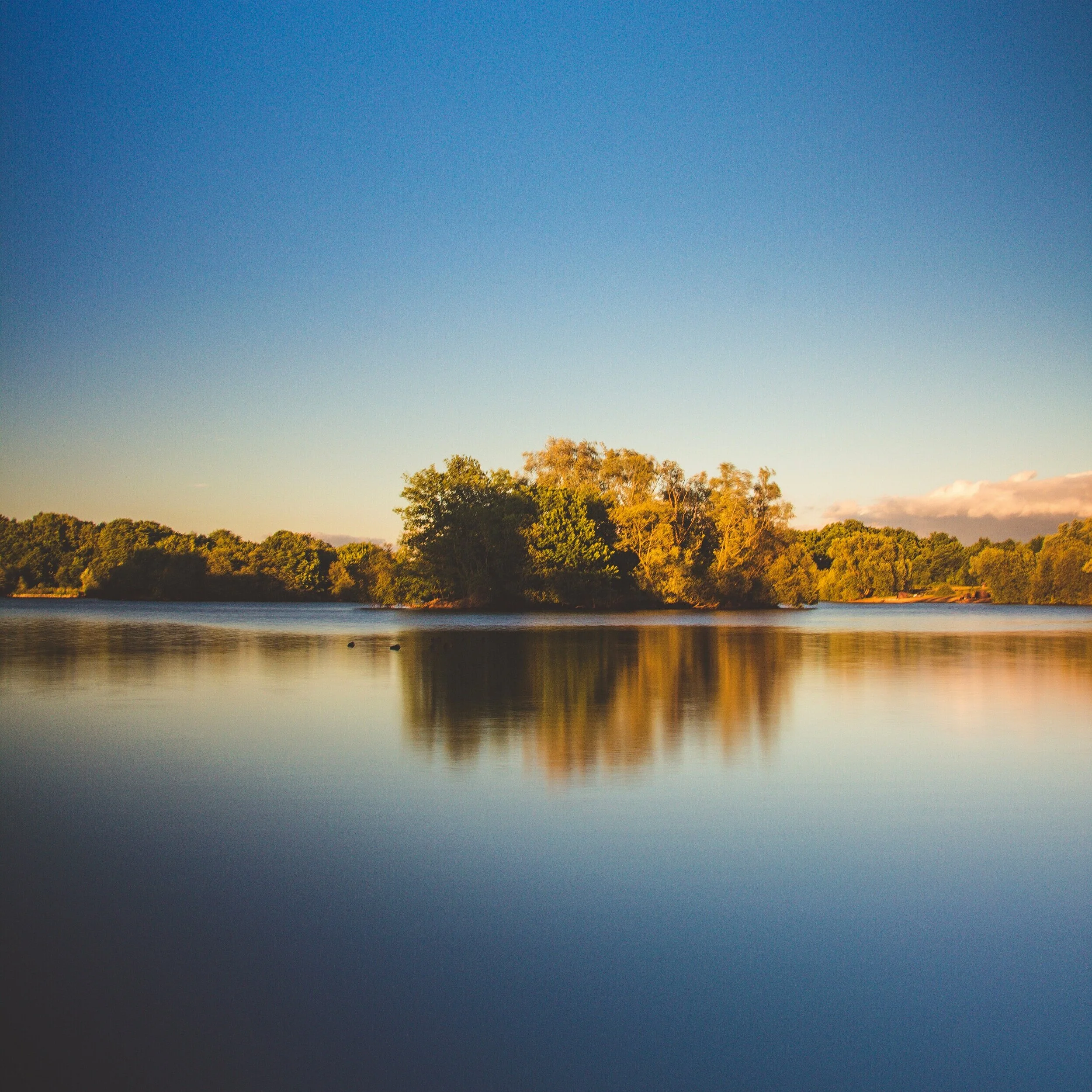 How to Train without a Pool — BE A PJ