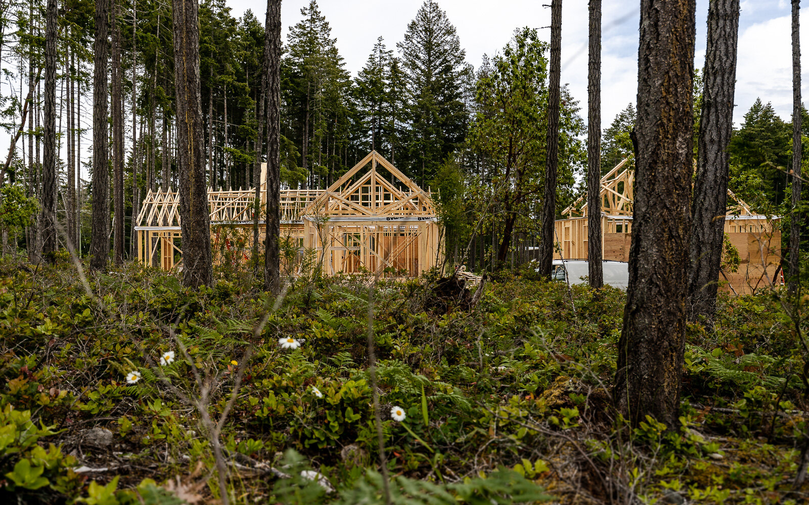 Evergreen_Trusses-7.jpg