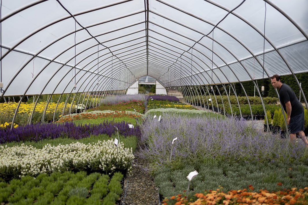 Getting inspired @greenthumbgardencentrenanaimo