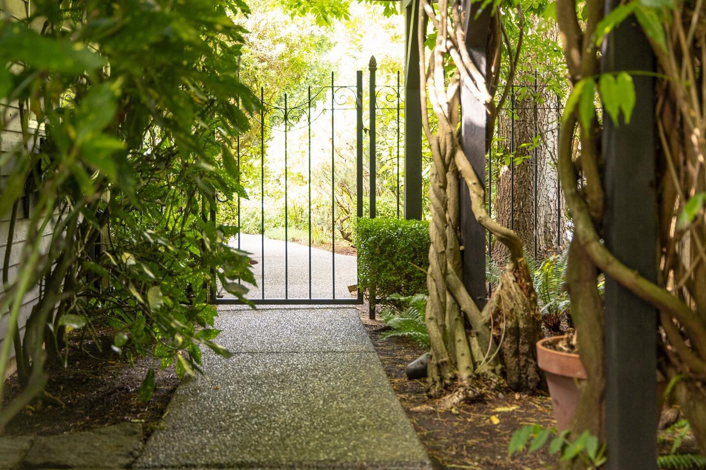 Gated garden path at our newest village listing - www.qbliving.ca