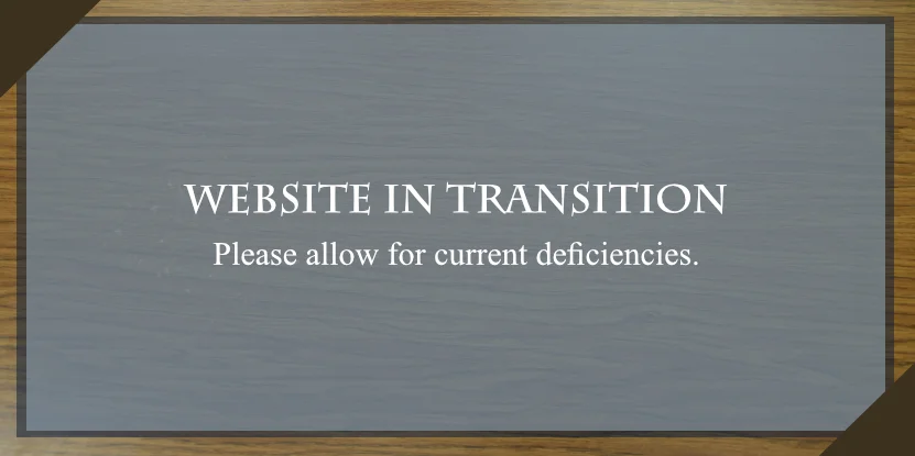 Website under transition slide - 2.jpg