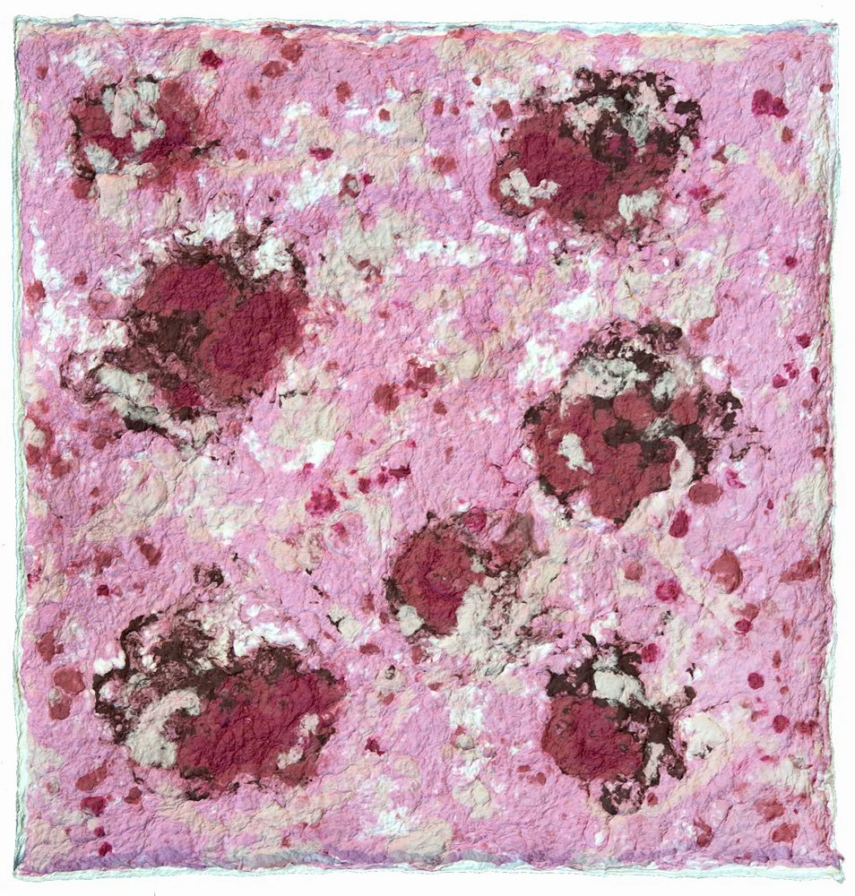 Red Flowers/Pink Field