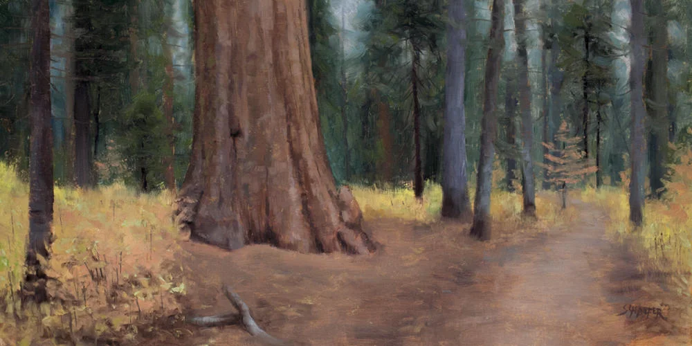 giant-sequoia-near-trail.jpg